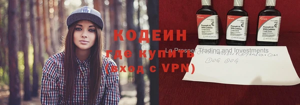 хмурый Алзамай
