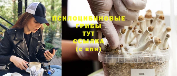 mdpv Алексин