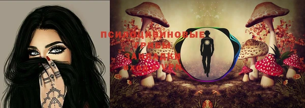 гашик Алексеевка