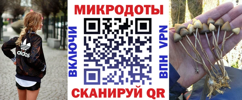 Галлюциногенные грибы MAGIC MUSHROOMS  где продают наркотики  Жирновск 